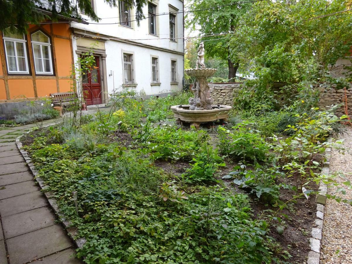Hummel Hostel - Historische Stadtvilla Mit Garten ワイマール エクステリア 写真